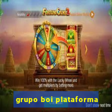 grupo boi plataforma